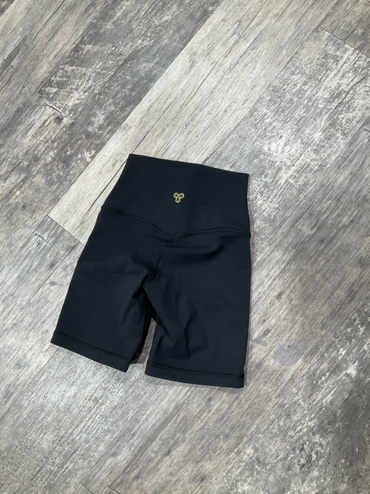 Aritzia Athletic Shorts Size 00