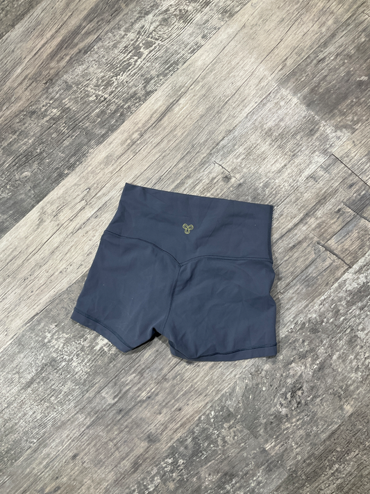 Aritzia Shorts Size Medium